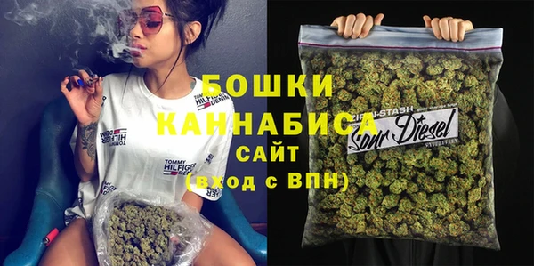 гидропоника Алзамай