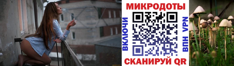 Псилоцибиновые грибы ЛСД  кракен как войти  Порхов 